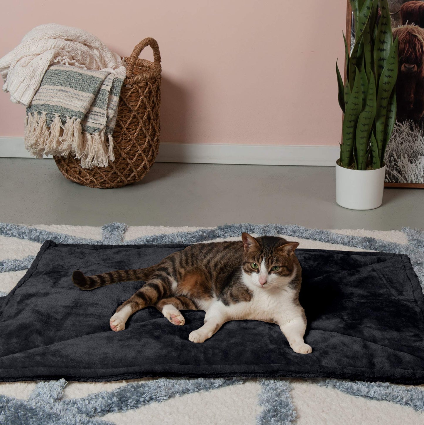 Furhaven ThermaNAP Self-Warming Cat Bed for Indoor Cats & Small Dogs, Washable & Reflects Body Heat - Quilted Faux Fur Reflective Bed Mat - Gray, Small