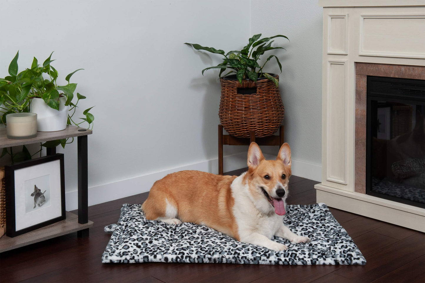 Furhaven ThermaNAP Self-Warming Cat Bed for Indoor Cats & Small Dogs, Washable & Reflects Body Heat - Quilted Faux Fur Reflective Bed Mat - Gray, Small