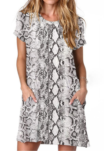 Alaster Women’s Casual Summer T Shirt Dress Loose Short Sleeve Tunic Dress with Pocket for Women