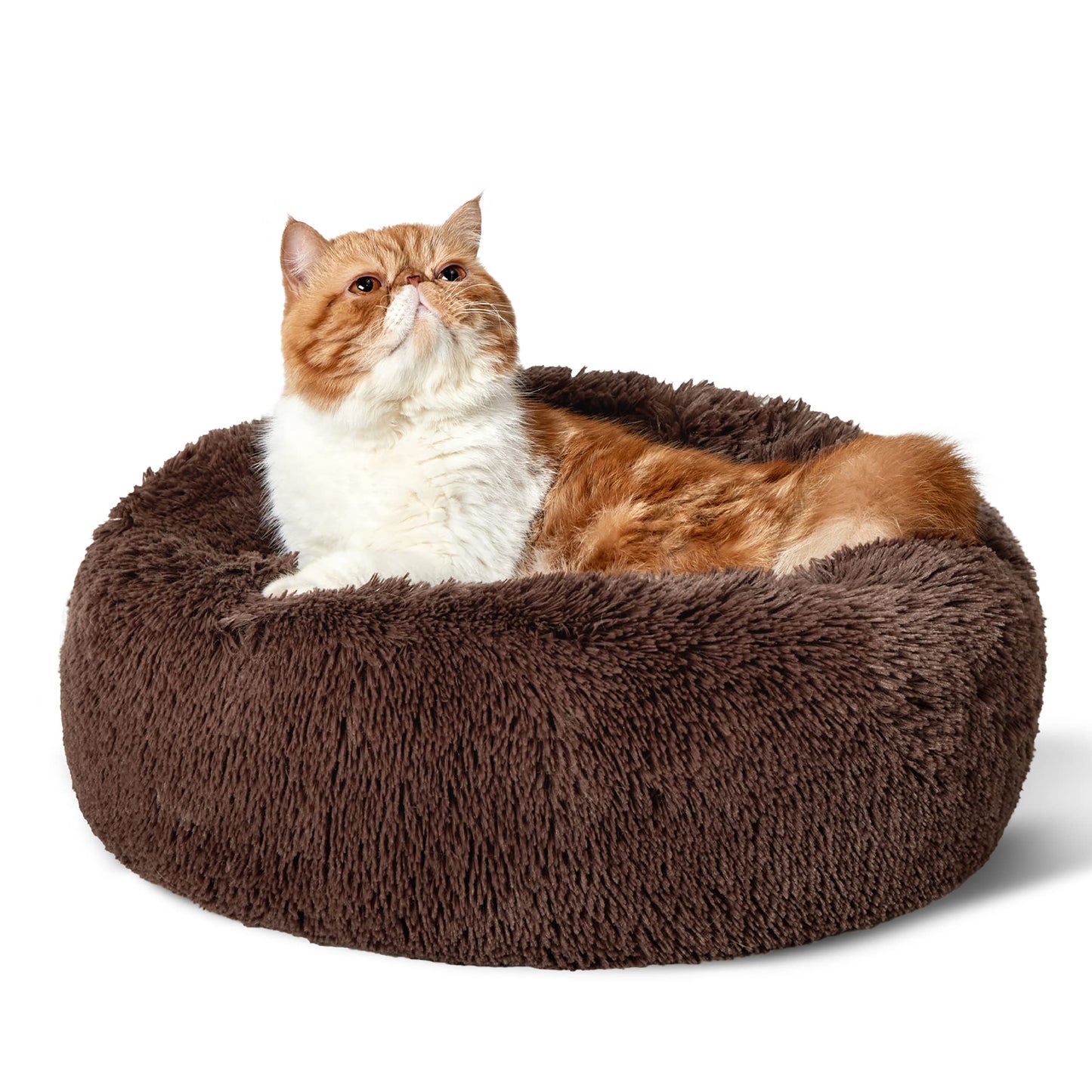 Bedsure Calming Cat Beds for Indoor Cats - Small Cat Bed Washable 20 inches, Anti-Slip Round Fluffy Plush Faux Fur Pet Bed, Fits up to 15 lbs Pets, Camel