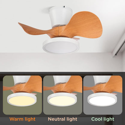 Quiet Ceiling Fan with LED Light 22 Inch Large Air Volume Remote