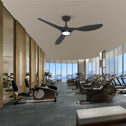 Ceiling Fans with Lights and Remote, Black Ceiling Fan 52 Inch Quiet
