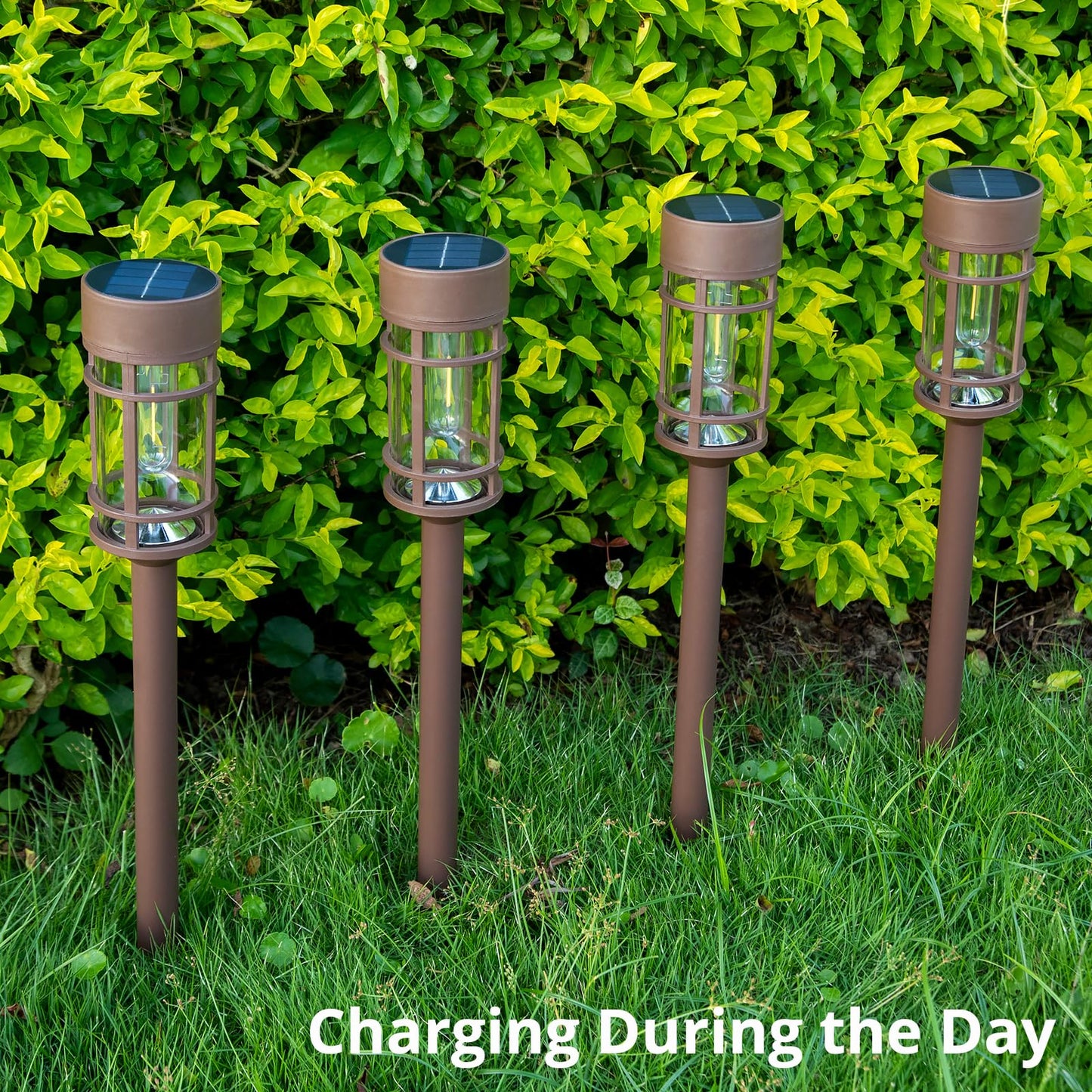 8 Pack Solar Pathway Lights Outdoor, Waterproof Solar Lights Outdoor with Metal & Glass Design - Auto On/Off, Long-Lasting, Landscape Lighting for Garden, Yard, Lawn, Driveway, Walkway