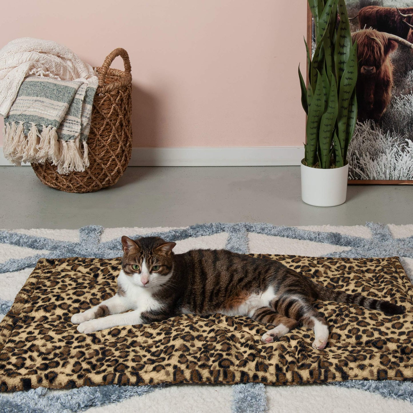 Furhaven ThermaNAP Self-Warming Cat Bed for Indoor Cats & Small Dogs, Washable & Reflects Body Heat - Quilted Faux Fur Reflective Bed Mat - Gray, Small