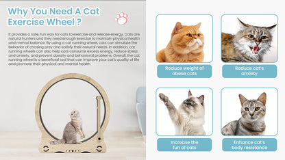 Indoor cat treadmill with carpet, tear device and latch natural wood, 39.4 inches long x 13.2 inches wide x 41.3 inches high