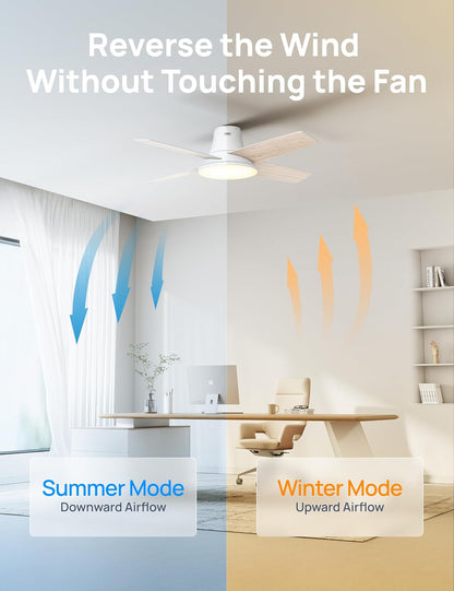 Ceiling Fans with Lights, 12 Speeds & 3 Fan Modes, Quiet DC Motor, Low