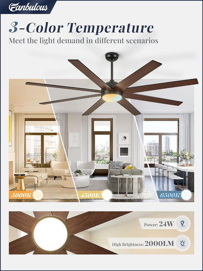 65 Inch Ceiling Fans with Lights and Remote, Black Indoor/Outdoor
