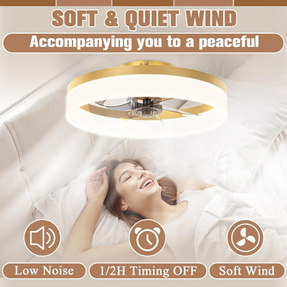 Low Profile Ceiling Fans with Lights and Remote,15.7In Modern Ceiling