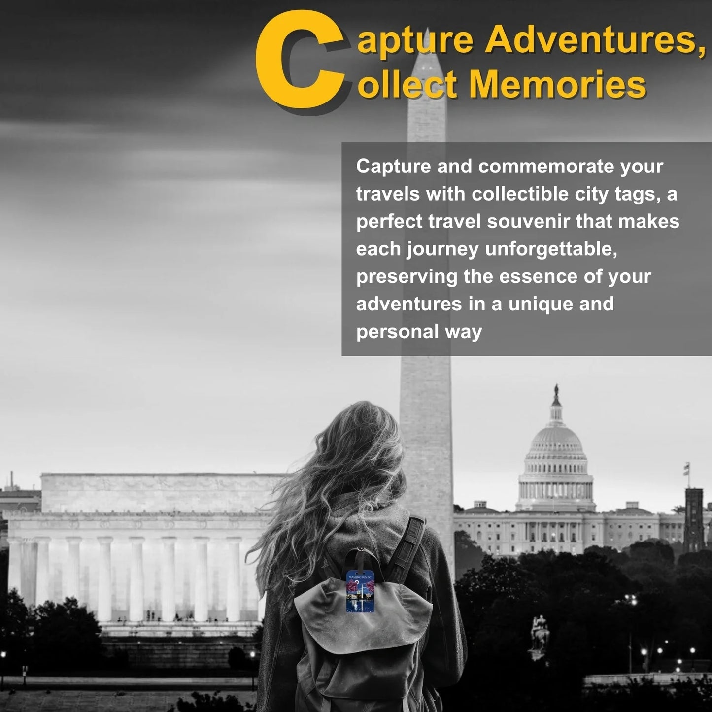 Smart Bag Security Tag - Washington Dc  [Pack 2]-2